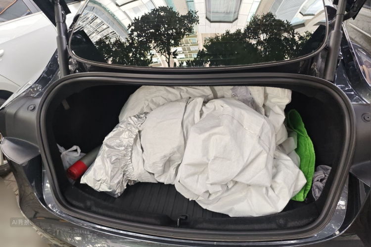 Tesla Model 3 2024 car image #21