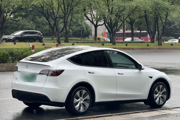 Tesla Model Y 2022 #8 Tesla Model Y 2022 car image #8