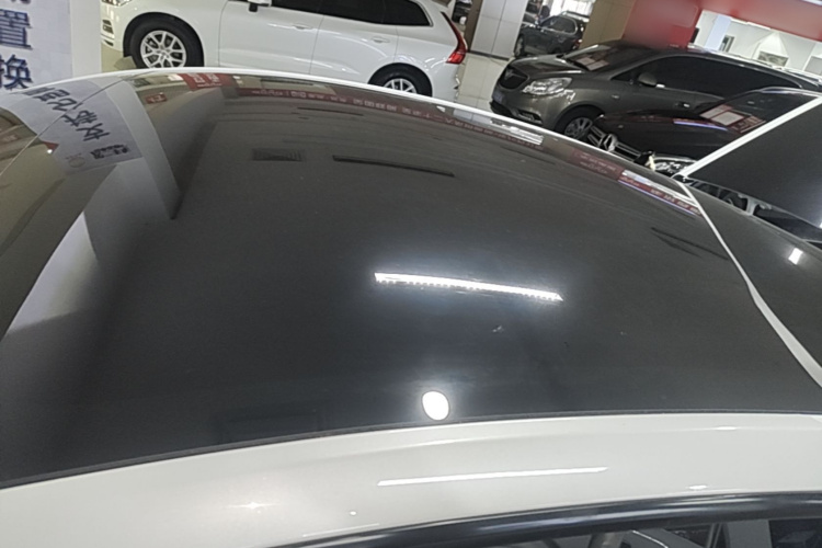 Tesla Model Y 2023 #25 Tesla Model Y 2023 car image #25