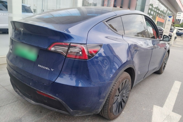 Tesla Model Y 2021 car image #7