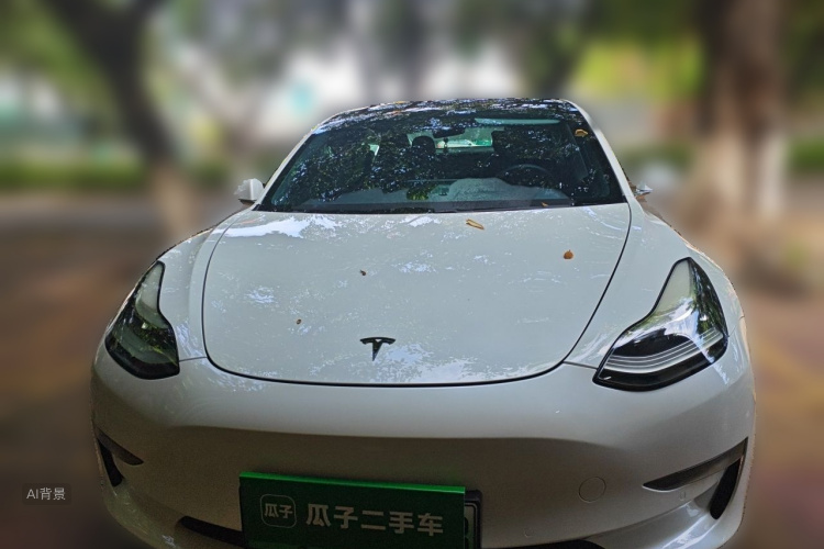 Tesla Model 3 2020 immagine di auto #3