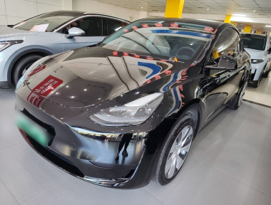 Tesla Model Y 2023 Tesla Model Y 2023 car image