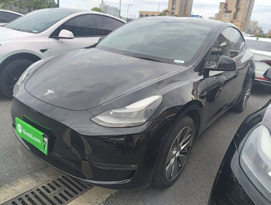 Tesla Model Y 2021 Tesla Model Y 2021 car image