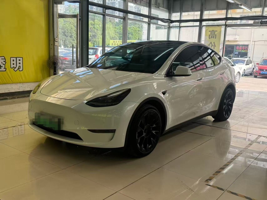 Tesla Model Y 2021 Tesla Model Y 2021 immagine di auto