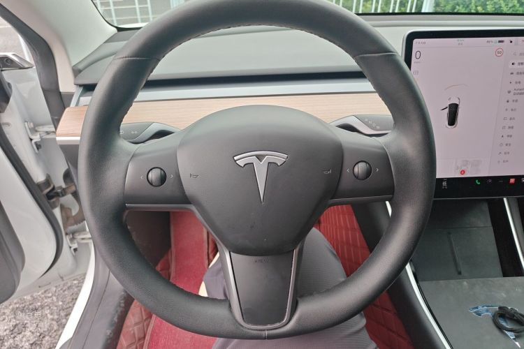 Tesla Model 3 2020 car image #12