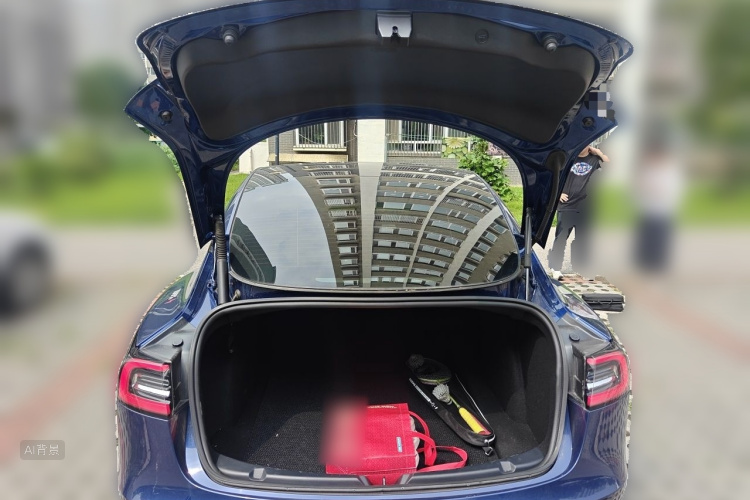 Tesla Model 3 2021 car image #21