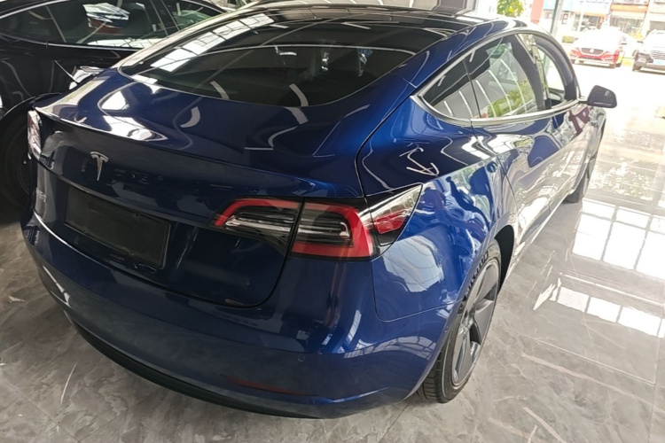 Tesla Model 3 2021 #7 Tesla Model 3 2021 car image #7