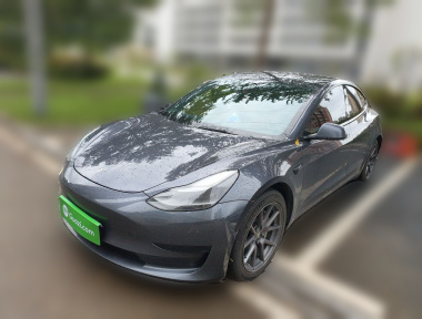 Tesla Model 3 2021 car image 