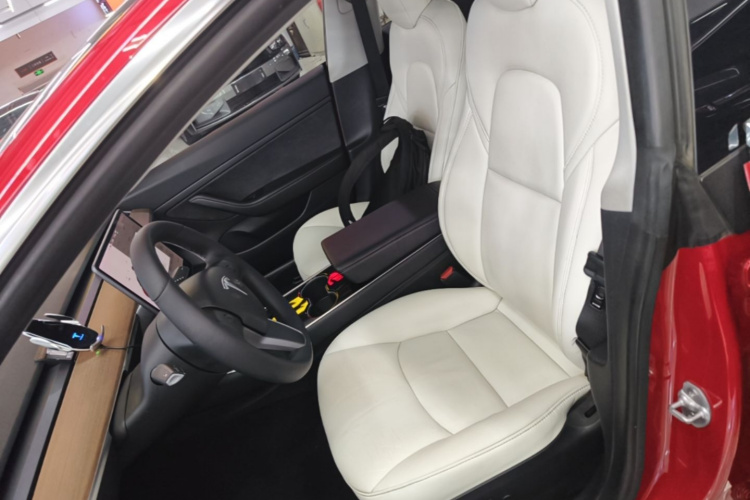 Tesla Model 3 2020 car image #15