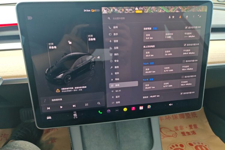 Tesla Model 3 2023 car image #16