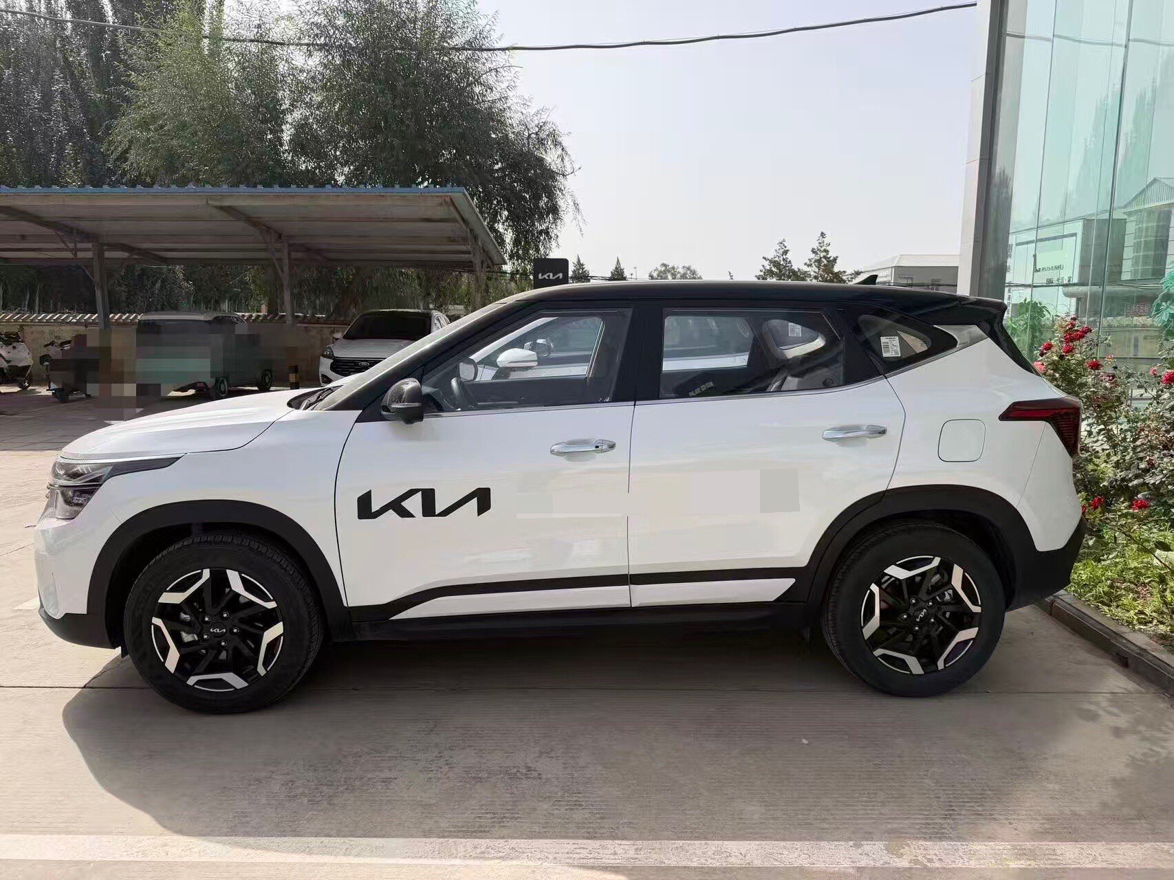 Kia Seltos 2025 immagine di auto #2