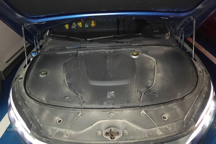 BYD Han 2021 car image #22