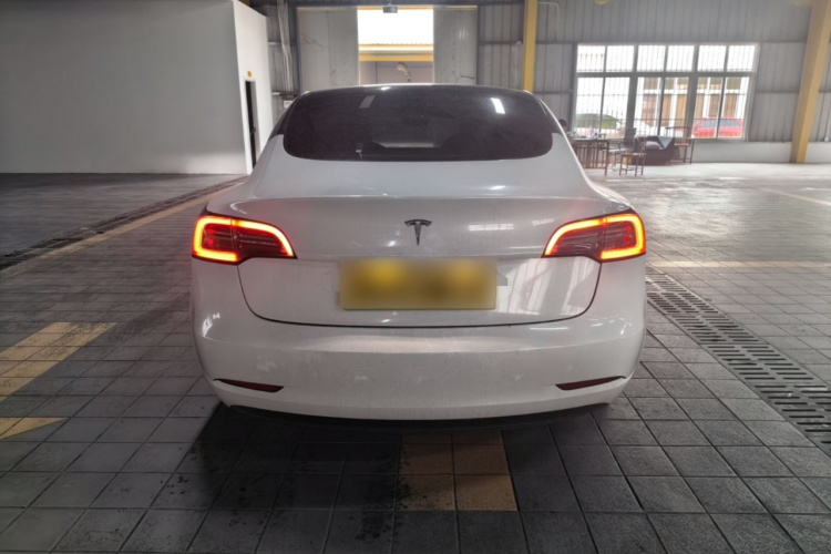 Tesla Model 3 2021 #6 Tesla Model 3 2021 car image #6