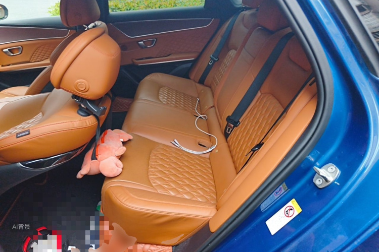 BYD Han 2022 car image #19