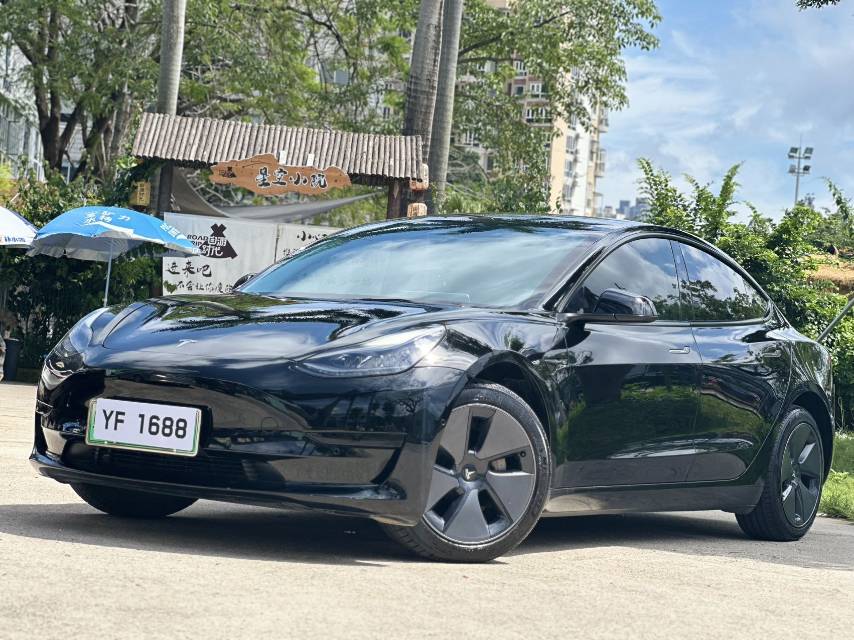 Tesla Model 3 2022 car image 