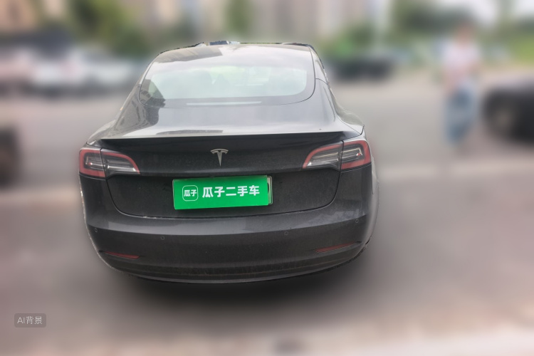 Tesla Model 3 2021 car image #6