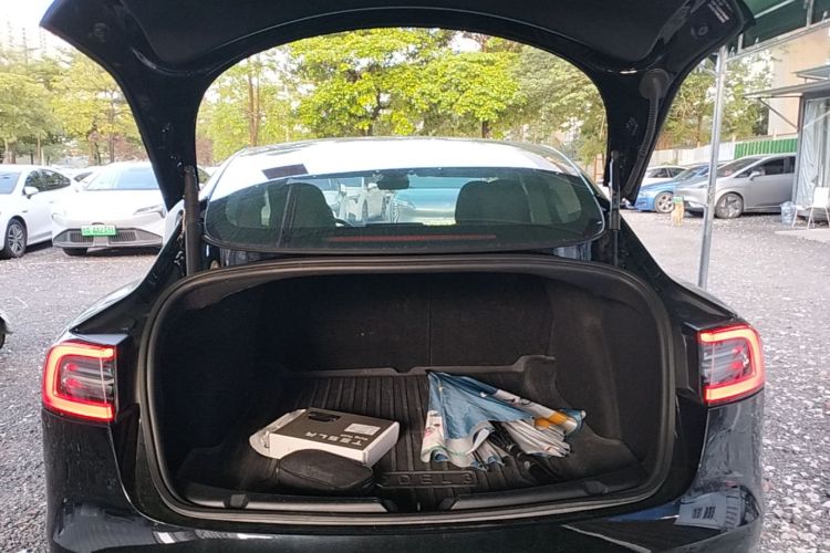 Tesla Model 3 2022 car image #19