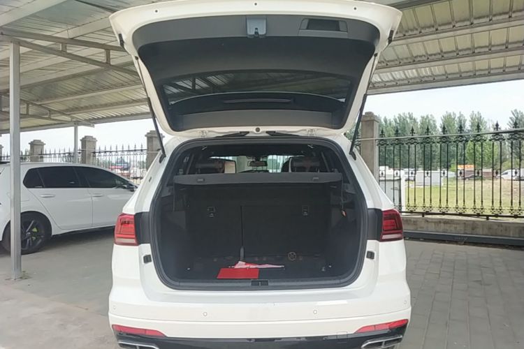 Volkswagen Tharu 2019 car image #19