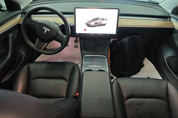 Tesla Model 3 2022 car image #10