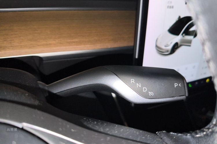 Tesla Model 3 2020 car image #16