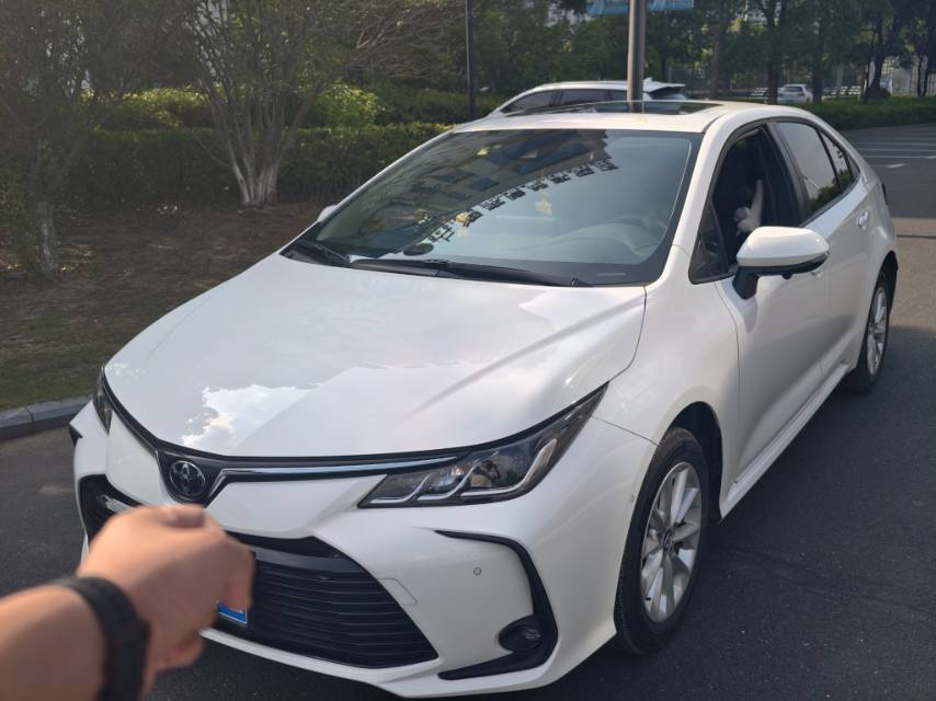 Toyota Corolla 2022 Toyota Corolla 2022 car image