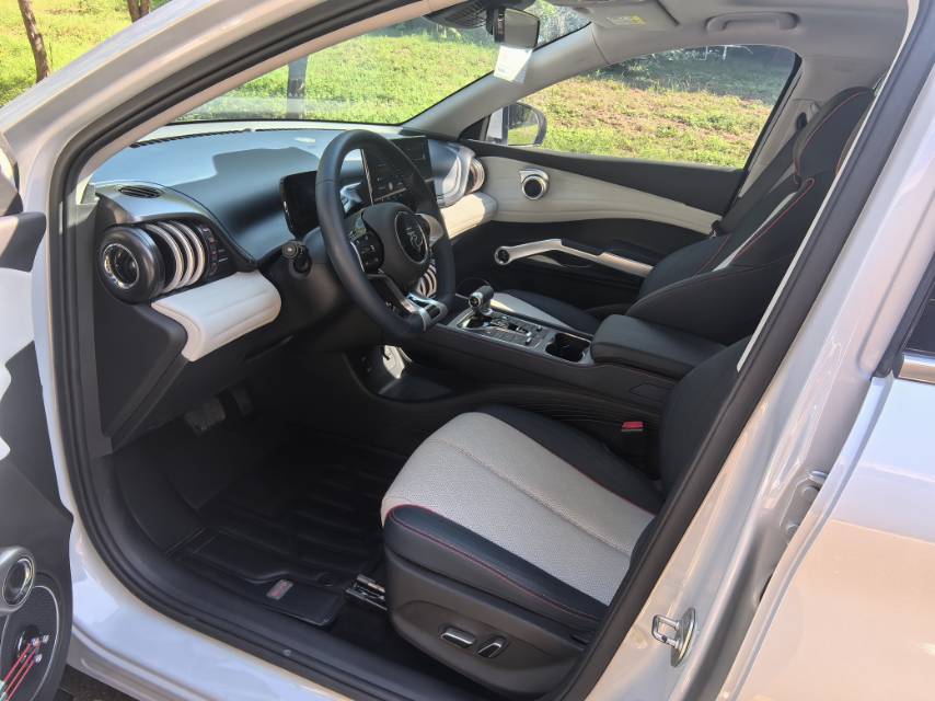 BYD Yuan Plus 2022 car image #7