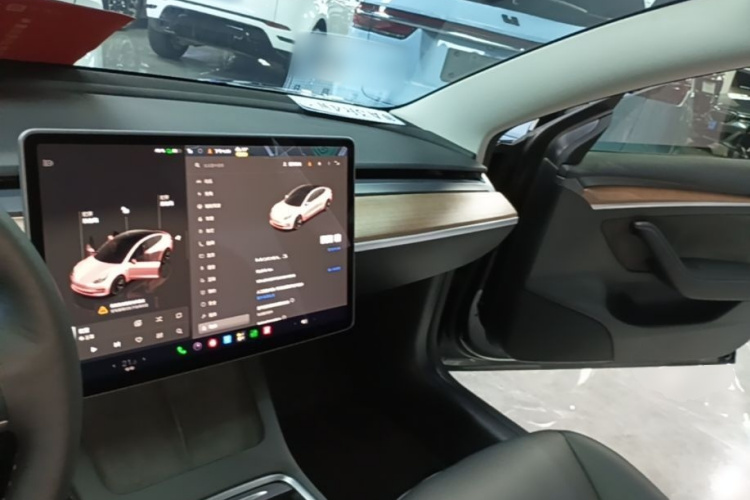 Tesla Model 3 2022 car image #10