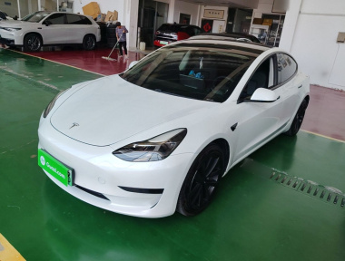 Tesla Model 3 2021 Tesla Model 3 2021 car image