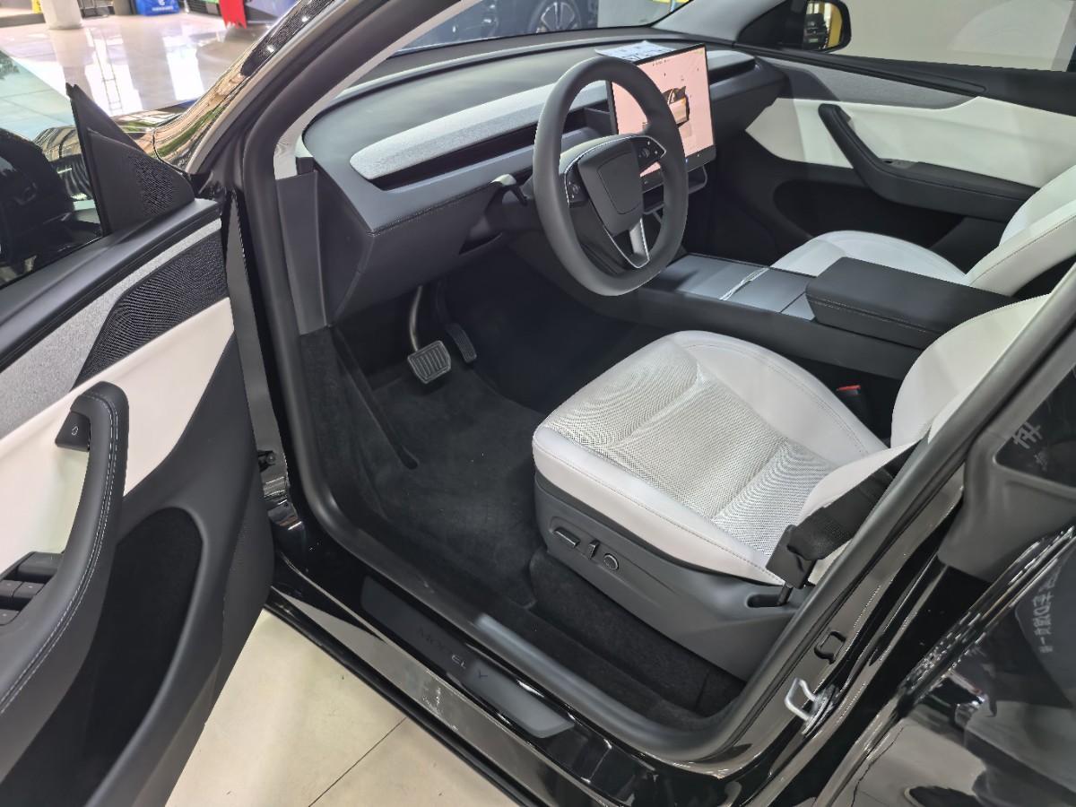 Tesla Model Y 2025 car image #3