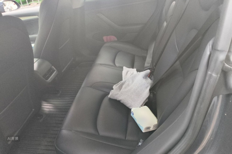 Tesla Model 3 2021 car image #19