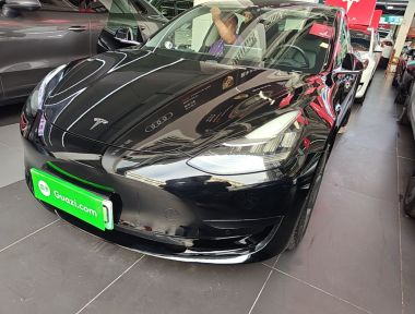 Tesla Model 3 2020 Tesla Model 3 2020 car image