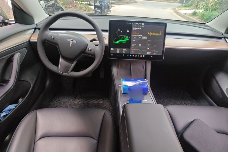 Tesla Model 3 2021 #7 Tesla Model 3 2021 car image #7