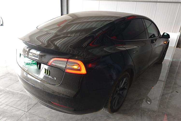 Tesla Model 3 2021 car image #5