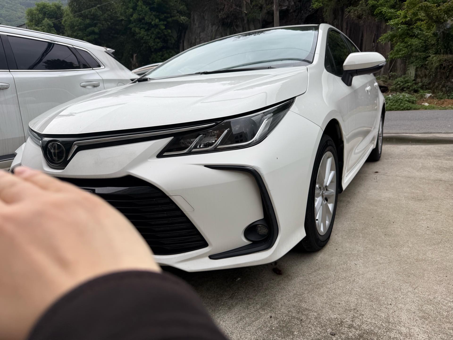 Toyota Corolla 2021 汽车图片 