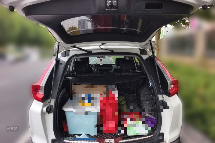 Honda CR-V 2019 car image #21