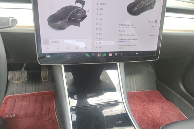 Tesla Model 3 2020 car image #15