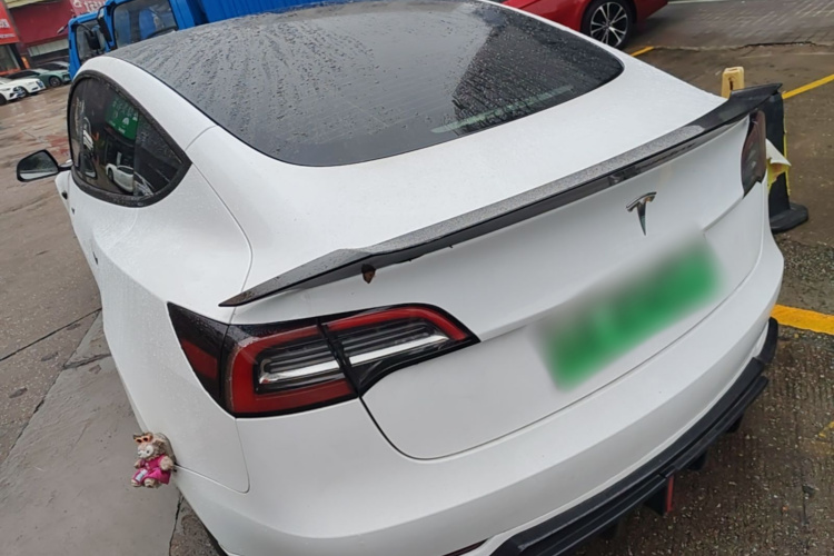 Tesla Model 3 2022 car image #5