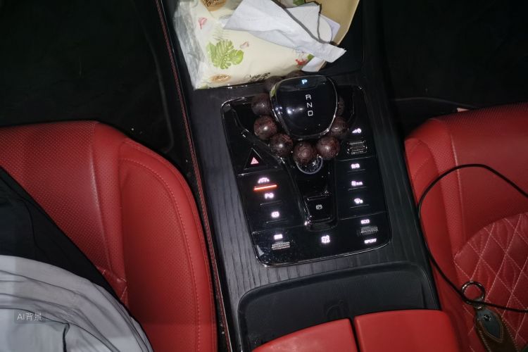 BYD Han 2020 car image #16