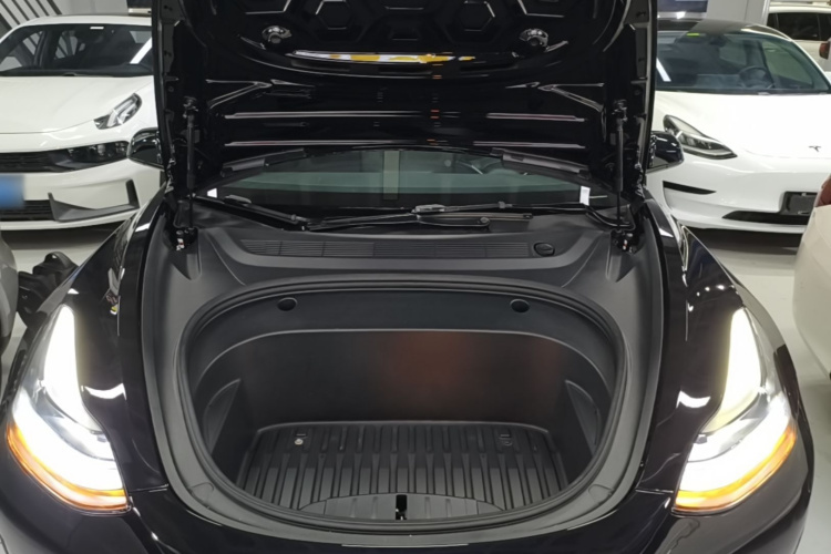 Tesla Model 3 2022 #22 Tesla Model 3 2022 immagine di auto #22