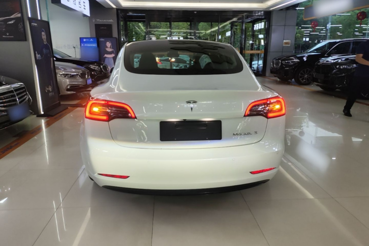 Tesla Model 3 2020 #6 Tesla Model 3 2020 car image #6