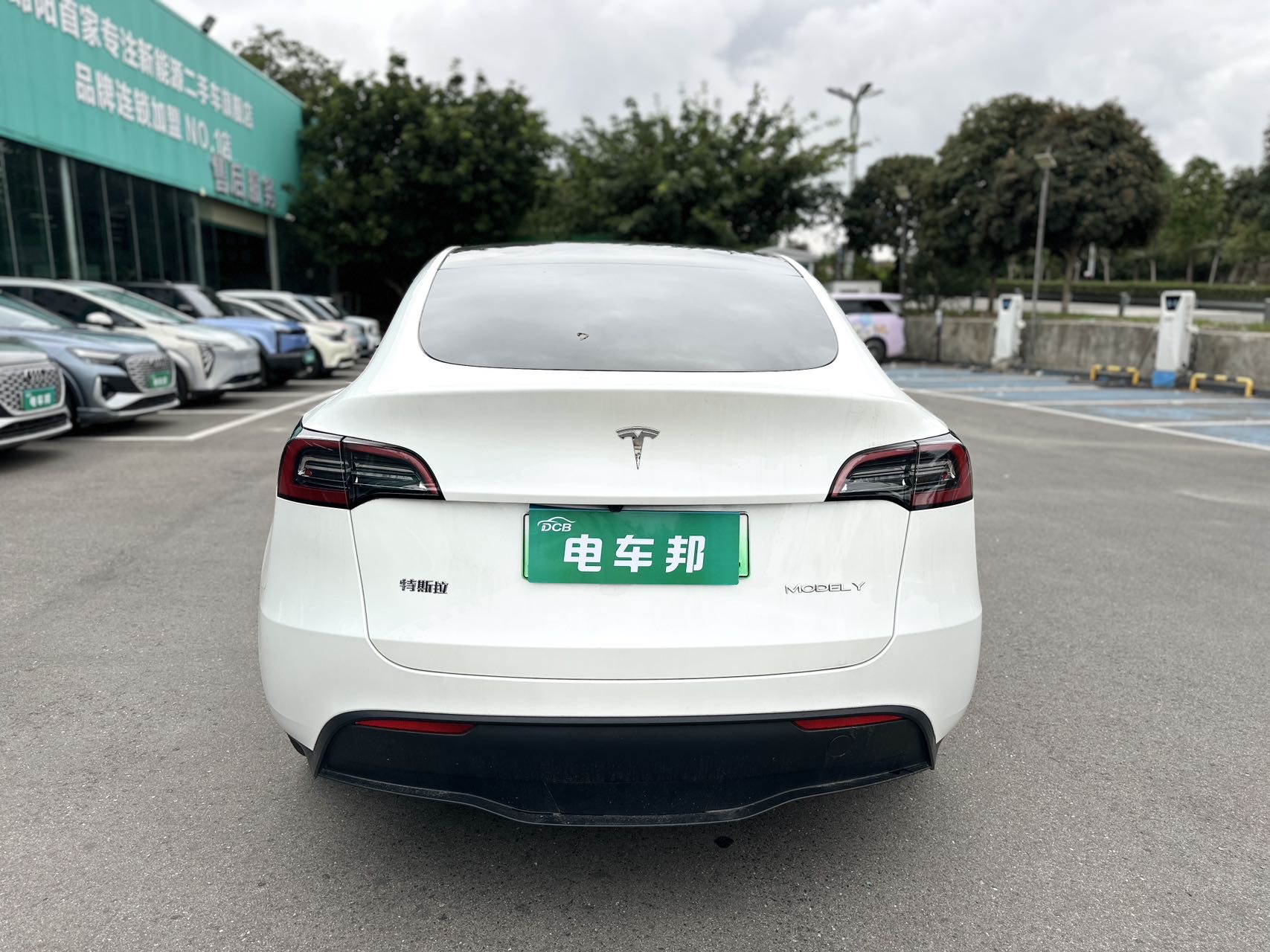 Tesla Model Y 2024 #8 Tesla Model Y 2024 car image #8