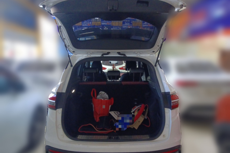 GEELY Coolray 2019 car image #21