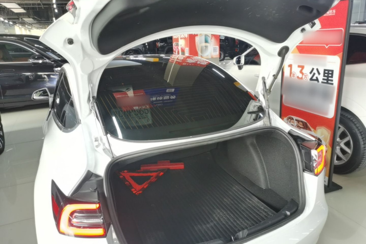 Tesla Model 3 2020 immagine di auto #19