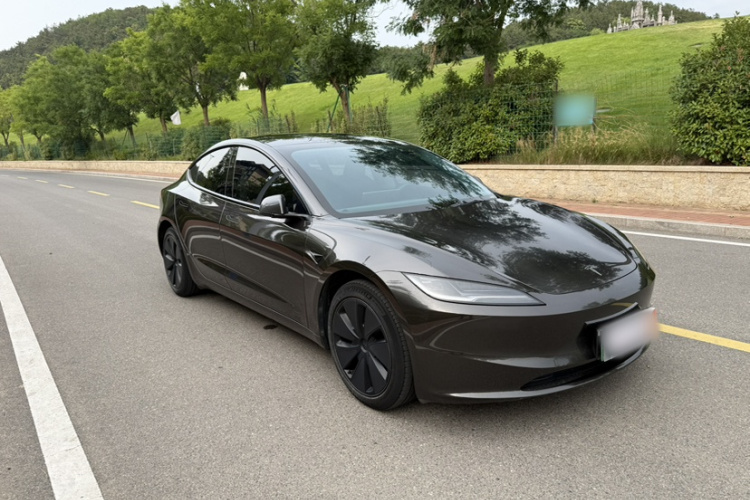 Tesla Model 3 2023 immagine di auto #7