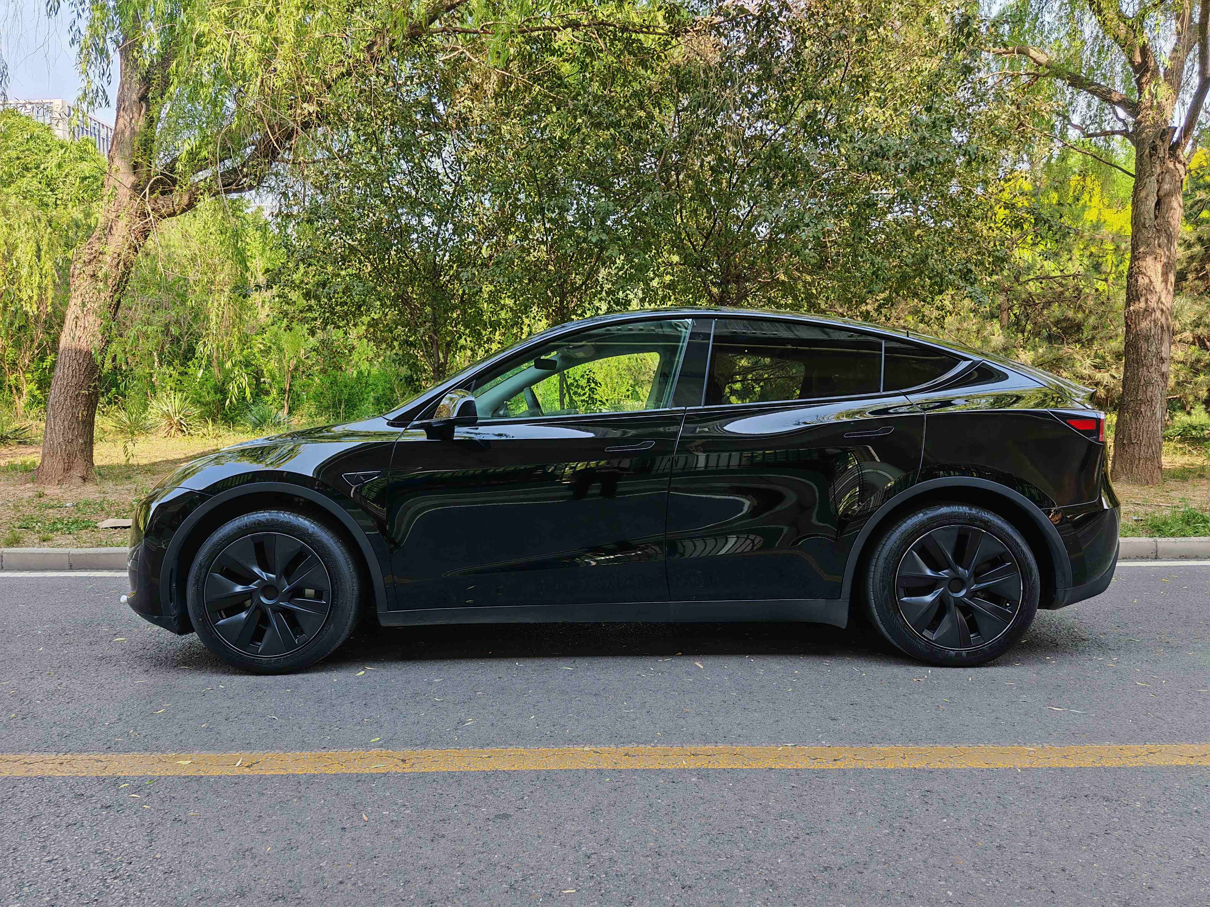 Tesla Model Y 2023 #11 Tesla Model Y 2023 car image #11