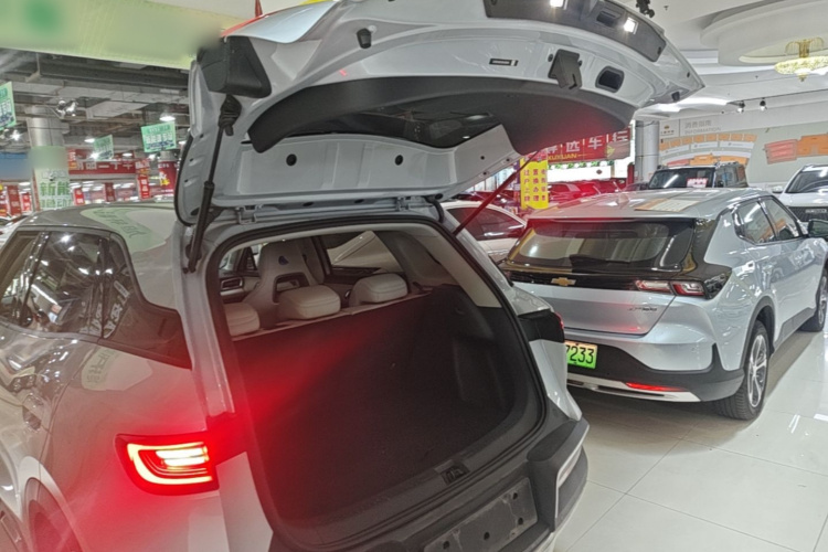 BYD YuanUP 2025 #21 BYD YuanUP 2025 car image #21