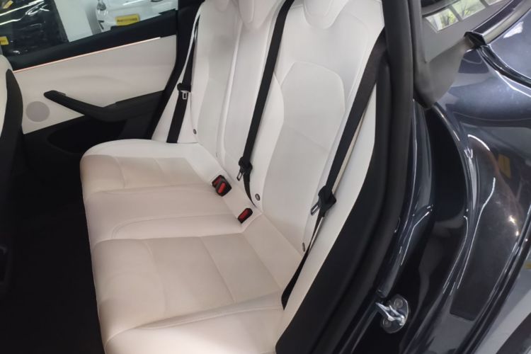 Tesla Model 3 2024 car image #17