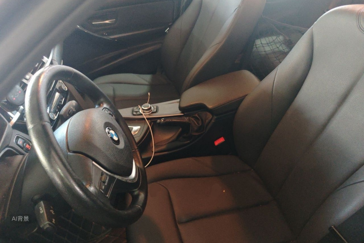 BMW 3 Series 2016 car image #17
