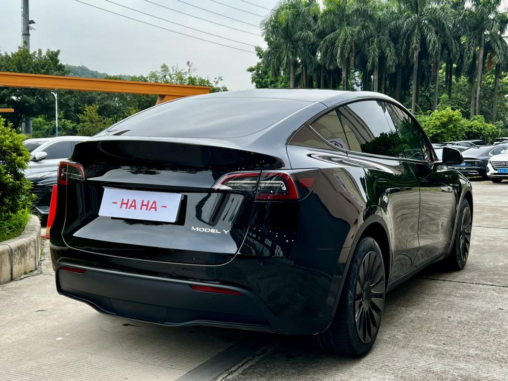Tesla Model Y 2023 #6 Tesla Model Y 2023 car image #6