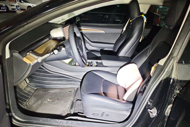 Tesla Model 3 2022 car image #17